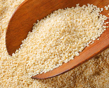 Sesame Seeds | Premium Sesame Seeds | Bulk Export Supply - El-Forsan Co., Egypt - Egypt